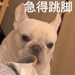 एर्ग्गग्ड्फ्फध435435